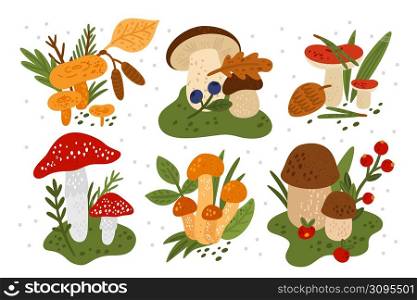 Mushrooms compositions. Wild forest fungi with plants. Berries and leaves on russula cap. Woodland porcini. Fly agaric and honeydew. Edible and poisonous. Vector isolated autumn botanical elements set. Mushrooms compositions. Forest fungi with plants. Berries and leaves on russula cap. Woodland porcini. Fly agaric and honeydew. Edible and poisonous. Vector autumn botanical elements set