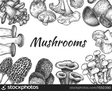 Mushrooms. Hand drawn different mushrooms organic vegetarian product food, sketch design for menu, label or packaging, vector background. Edible mushroom morel, truffle, champignon, trumpet. Mushrooms. Hand drawn different mushrooms organic vegetarian product food, sketch design for menu, label or packaging, vector background
