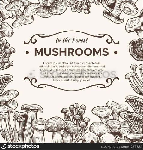 Mushrooms. Hand drawn mushroom champignon, truffle, porcini and chanterelle, shiitake, vintage sketch for vegetarian menu, packaging vector engraving background. Mushrooms. Hand drawn mushroom champignon, truffle, porcini and chanterelle, shiitake, vintage sketch for menu, packaging vector background