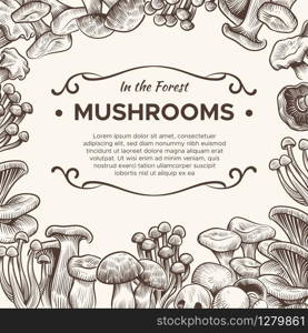 Mushrooms. Hand drawn mushroom champignon, truffle, porcini and chanterelle, shiitake, vintage sketch for vegetarian menu, packaging vector engraving background. Mushrooms. Hand drawn mushroom champignon, truffle, porcini and chanterelle, shiitake, vintage sketch for menu, packaging vector background