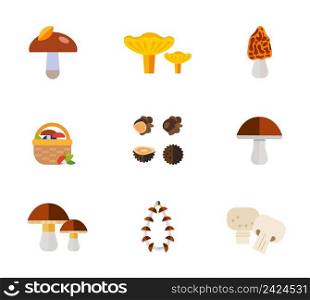 Mushrooms icon set. Mushroom with leaf on cap Chanterelle Morel Basket Truffles Birch bolete Porcini Dried mushrooms Ch&ignons