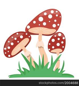Mushrooms love an isolated object. Amanita in the grass, vector illustration. Forest colorful poisonous mushrooms, hand drawing.. Mushrooms love an isolated object.