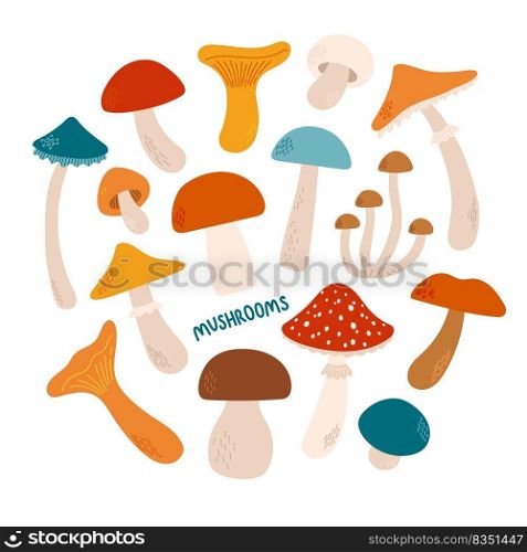 Mushrooms set different colors and sizes flat design vector illustration