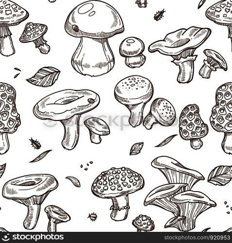 Mushrooms sketch seamless pattern. Vector edible champignon, chanterelle or morels and porcini cep mushroom, boletus and forest russula or puffball, poisonous amanita and lactarius or shiitake. Mushrooms sketch seamless pattern. Vector edible illustration