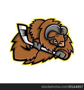 Musk Ox Ice Hockey Mascot. Mascot icon illustration of head of a muskox, musk ox or musk-ox, an Arctic hoofed mammal of the family Bovidae, with ice hockey stick viewed from side on isolated background in retro style.. Musk Ox Ice Hockey Mascot