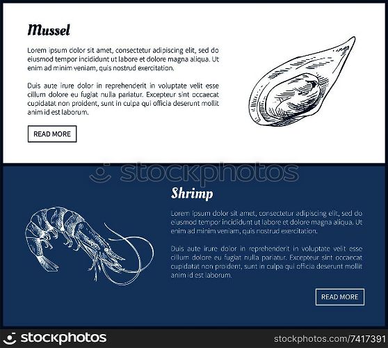 Mussel and shrimp vector double color graphic. Hand drawn seafood set, decorative icons of mollusk and crustacean vintage restaurant menu template. Mussel and Shrimp Vector Double Color Graphic