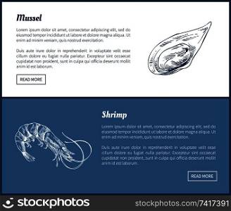 Mussel and shrimp vector double color graphic. Hand drawn seafood set, decorative icons of mollusk and crustacean vintage restaurant menu template. Mussel and Shrimp Vector Double Color Graphic