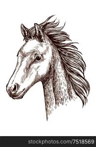 Mustang pencil sketch portrait. Brown horse with waving mane. Proud stallion with bold glance. Brown horse pencil sketch portrait