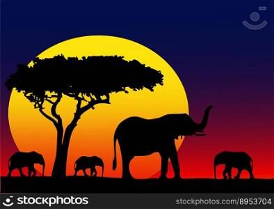My africa vector image