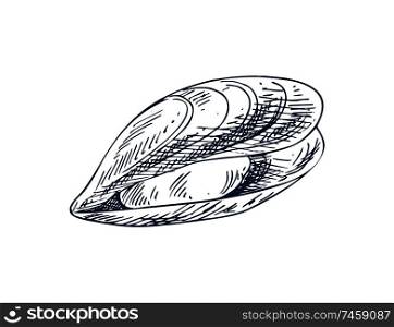 Mylitus saltwater mussel, marine bivalve mollusc. Common nutrition product and mariculture specie illustration. Monochrome vector sketch style icon.. Mylitus Mussel Bivalve Mollusk Seafood Poster