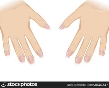 Nails with Fashion Manicure. Female fingers with long nails dyed with nail polish.