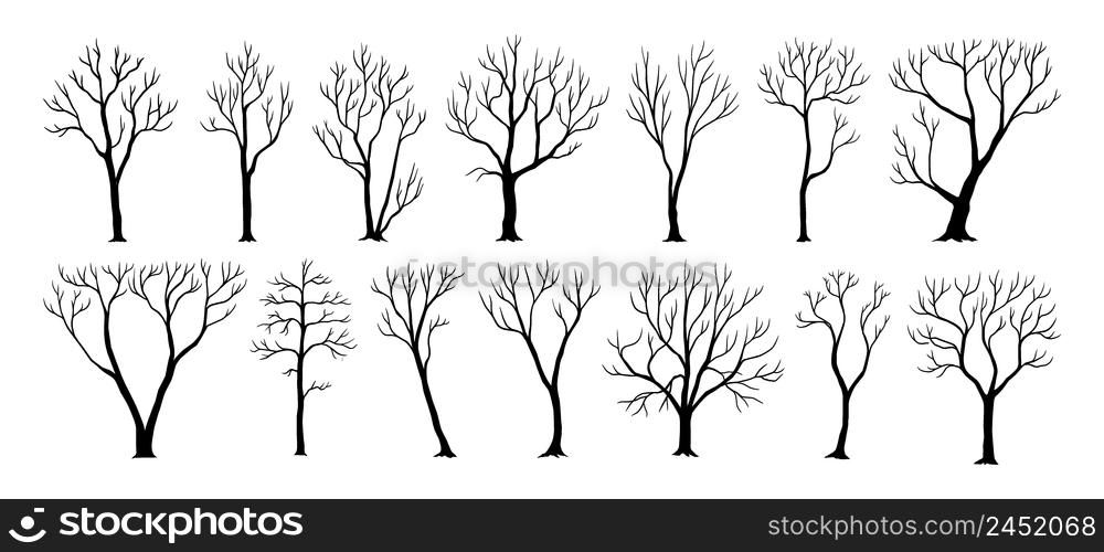Naked trees. Black silhouettes of plants with trunks and bare branches. Wood shadow. Cold season forest nature. Winter and autumn environment. Dead twigs. Vector isolated dry woodland elements set. Naked trees. Black silhouettes of plants with trunks and bare branches. Wood shadow. Cold season nature. Winter and autumn environment. Dead twigs. Vector dry woodland elements set