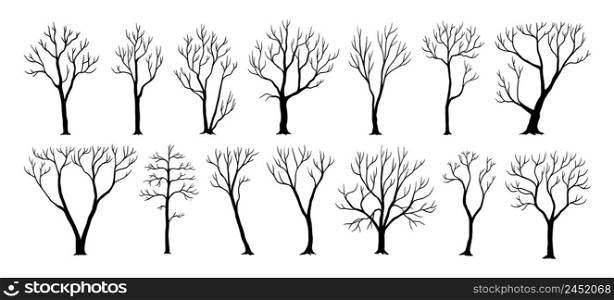 Naked trees. Black silhouettes of plants with trunks and bare branches. Wood shadow. Cold season forest nature. Winter and autumn environment. Dead twigs. Vector isolated dry woodland elements set. Naked trees. Black silhouettes of plants with trunks and bare branches. Wood shadow. Cold season nature. Winter and autumn environment. Dead twigs. Vector dry woodland elements set