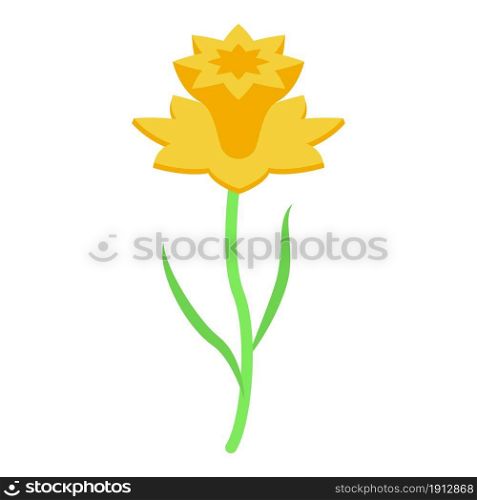 Narcissus icon isometric vector. Daffodil flower. Botanical narcissus. Narcissus icon isometric vector. Daffodil flower