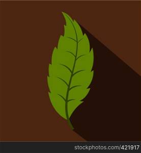 Narrow toothed green leaf icon. Flat illustration of narrow toothed green leaf vector icon for web isolated on coffee background. Narrow toothed green leaf icon, flat style