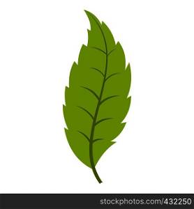 Narrow toothed green leaf icon flat isolated on white background vector illustration. Narrow toothed green leaf icon isolated