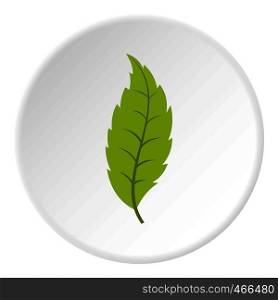 Narrow toothed green leaf icon in flat circle isolated on white background vector illustration for web. Narrow toothed green leaf icon circle