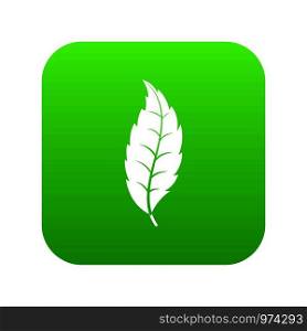 Narrow toothed leaf icon digital green for any design isolated on white vector illustration. Narrow toothed leaf icon digital green