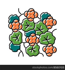 nasturtium liana color icon vector. nasturtium liana sign. isolated symbol illustration. nasturtium liana color icon vector illustration