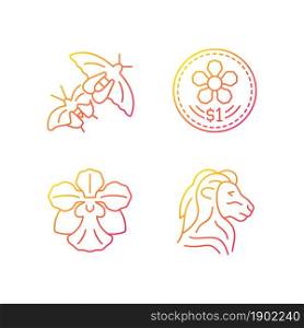 National animal and flower of Singapore gradient linear vector icons set. Coins design. Butterfly species. Orchid flower. Thin line contour symbols bundle. Isolated outline illustrations collection. National animal and flower of Singapore gradient linear vector icons set