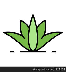 Natural aloe vera icon. Outline natural aloe vera vector icon color flat isolated on white. Natural aloe vera icon color outline vector