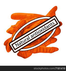 natural antioxidant turmeric spice vector illustration on a white background