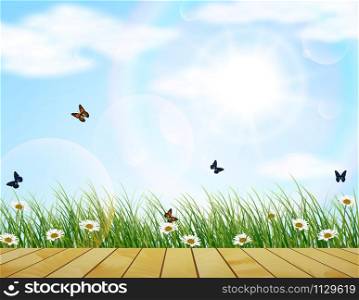 Natural background. Fresh spring green grass with flower and butterfly on the wood floor