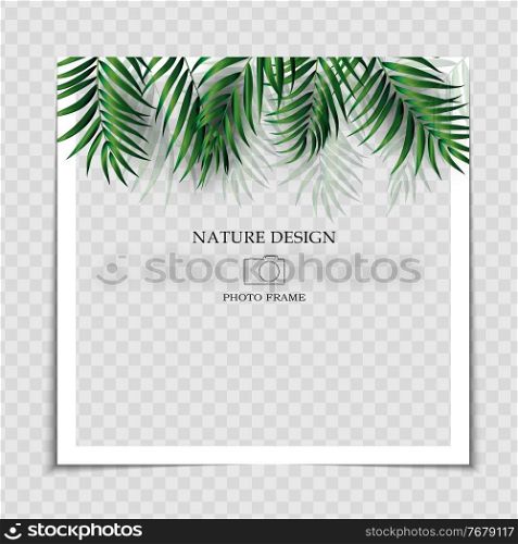 Natural Background Photo Frame Template with Palm leaves for post in Social Network. Vector Illustration. Natural Background Photo Frame Template with Palm leaves for post in Social Network. Vector Illustration EPS10