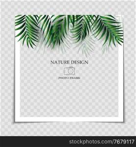 Natural Background Photo Frame Template with Palm leaves for post in Social Network. Vector Illustration. Natural Background Photo Frame Template with Palm leaves for post in Social Network. Vector Illustration EPS10