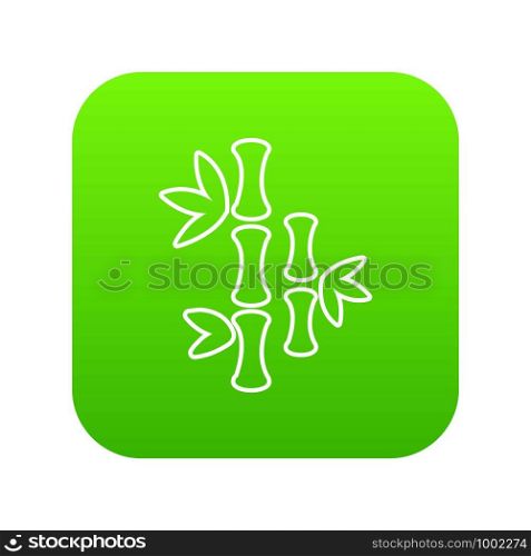 Natural bamboo icon green vector isolated on white background. Natural bamboo icon green vector