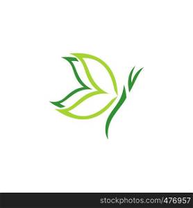 natural beauty green butterfly logo concept spa symbol icon vector design illustration