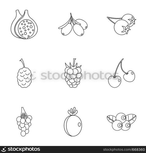 Natural berries icon set. Outline set of 9 natural berries vector icons for web isolated on white background. Natural berries icon set, outline style
