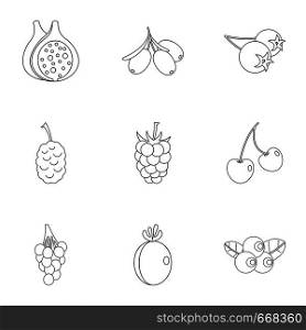 Natural berries icon set. Outline set of 9 natural berries vector icons for web isolated on white background. Natural berries icon set, outline style