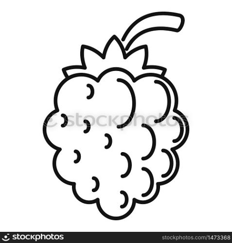 Natural blackberry icon. Outline natural blackberry vector icon for web design isolated on white background. Natural blackberry icon, outline style
