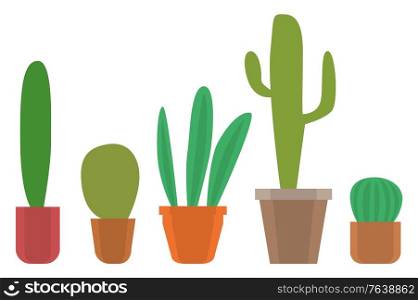 Natural decoration for home vector, isolated plant in pot, floral decor. Flourishing flora with thorns, decor. Herbal botany, potted houseplant set illustration in flat style design for web, print. House Plant Potted Decoration for Home Vector