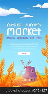 Natural farmer market cartoon web banner. Windmill on farm nature rural background with field and wheat. Advertisement for organic vegetable and fruits production promo, Vector mobile app onboard page. Natural farmer market cartoon web banner, promo
