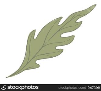 Natural foliage, spring or summer season. Isolated icon of leaf from shrubs, bush or tree, leafage of plant. Botany of twig or branch. Floral ornament for seasonal decoration. Vector in flat style. Leaf of plant, tree or shrubs natural foliage