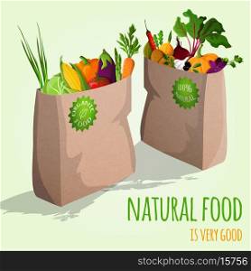 Natural food is very good organic vegetables in paper bag concept vector illustration
