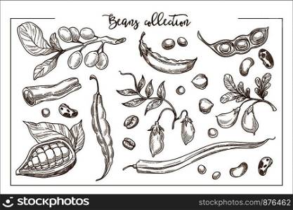 Natural fresh beans full of organic proteins monochrome collection. Sweet cocoa, green peas, ripe haricot, hot pepper and fragrant coffee isolated cartoon flat vector illustrations on white.. Natural fresh beans full of organic proteins monochrome collection