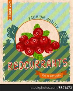 Natural fresh organic sweet garden red currant premium quality retro poster vector illustration