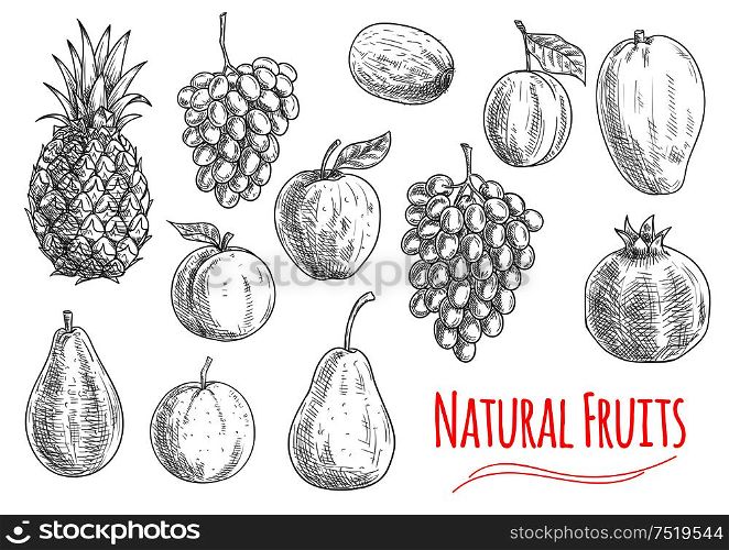 Natural fruits icon with sketched apple, orange, grape, pineapple, plum, pear, mango, kiwi and pomegranate fruits. Vegetarian dessert, juice or cocktail menu design. Natural fruits sketches for vegetarian food design