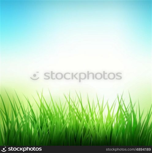 Natural green grass background. Natural green grass background. Vector illustration. EPS 10