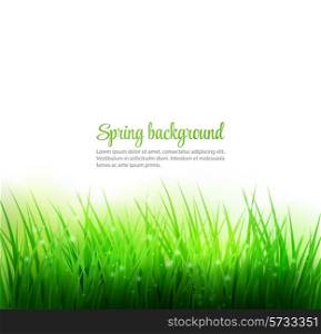 Natural green grass background. Vector illustration. EPS 10
