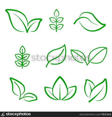 Natural leaf line icon. Young leaves of plants, forest tree oak, elm and ash leafs and eco green, garden vector isolated outline leafs symbol set