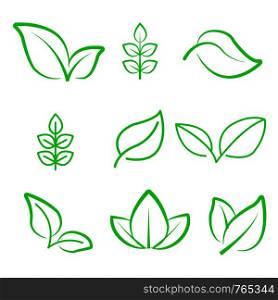 Natural leaf line icon. Young leaves of plants, forest tree oak, elm and ash leafs and eco green, garden vector isolated outline leafs symbol set