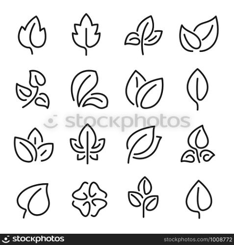 Natural leaf line icons. Young leaves of plants, forest tree oak, elm and ash leafs and eco greens fertilizer or autumn fall, garden vector outline pictogram isolated symbol set. Natural leaf line icons. Young leaves of plants, forest tree leafs and eco greens fertilizer vector outline pictogram symbol set