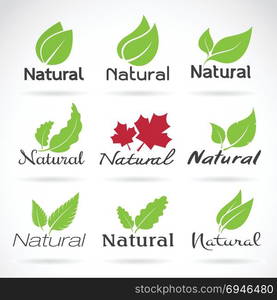 Natural logo design vector template on white background. Leaf icon