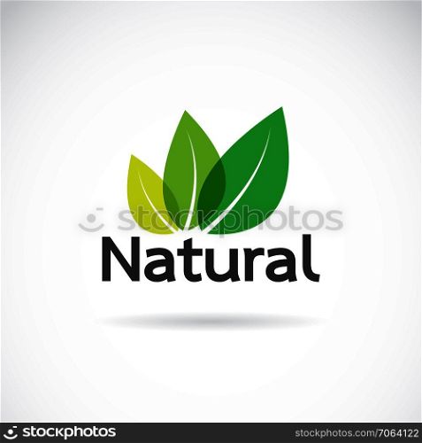 Natural logo design vector template on white background. Leaf icon