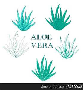 Natural Medicine Foliage Plant Aloe Vera Vector. Medicinal Plant,  Component Of Cosmetology And Pharmacy Lotion Or Cream For Skin Cure Hand Draw set Illustration