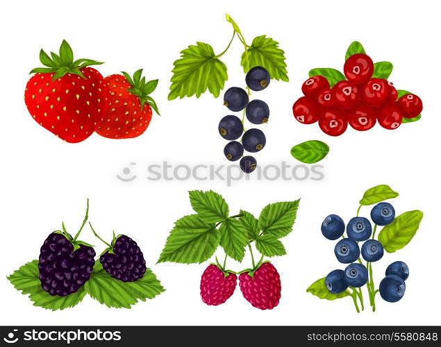 Natural organic berries set of strawberry blackberry cranberry isolated vector illustration
